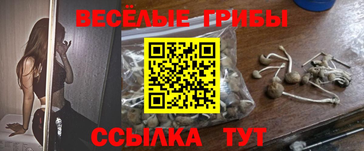 Галлюциногенные грибы Cubensis  Вход с VPN  Кохма 